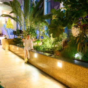 Majutus villas koos Wellnessi külastusega